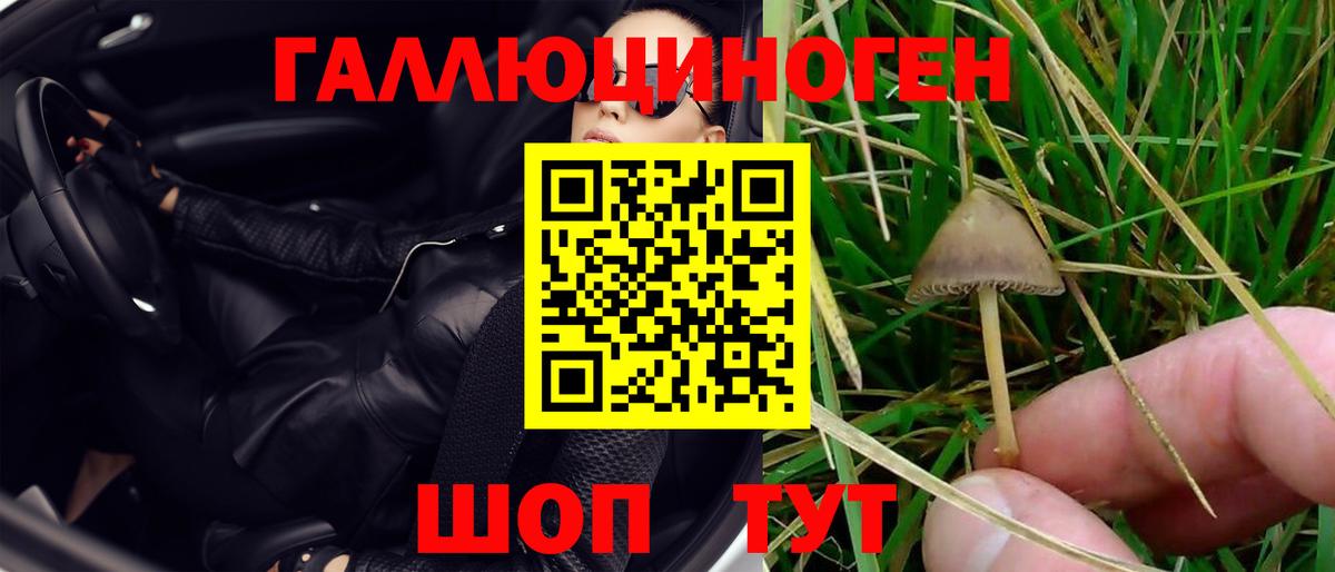 Псилоцибиновые грибы мицелий  Вход с VPN  Карасук 